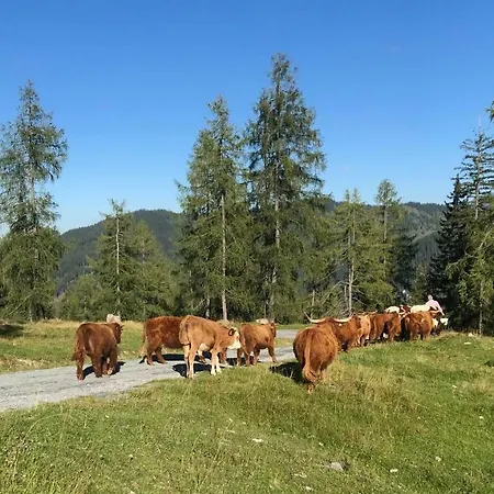 Privatunterkunft Appartementhaus Sky *